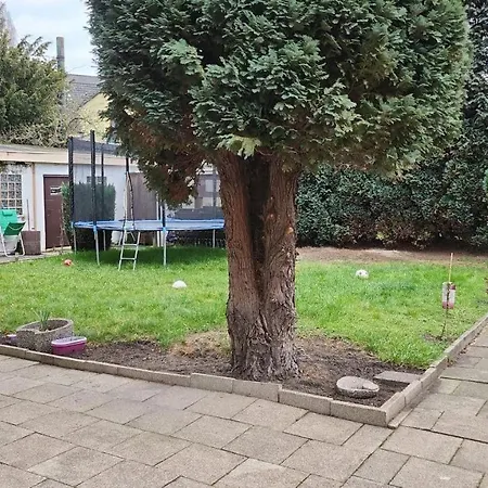 Moderne Mit Gartenzugang *